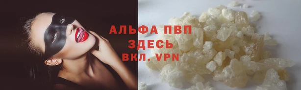 2c-b Беломорск