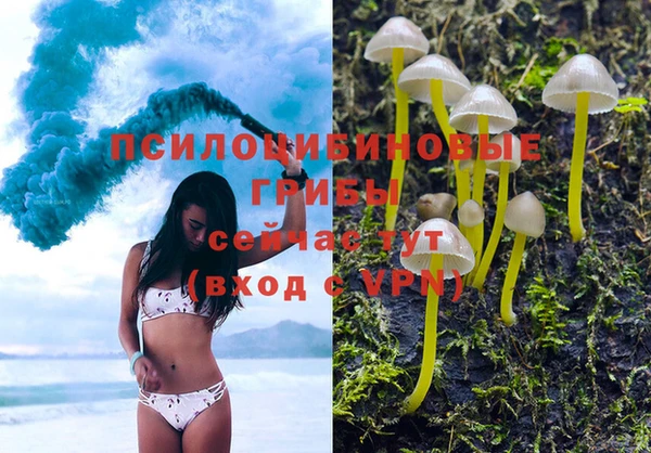 гашик Бронницы