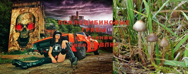 2c-b Беломорск